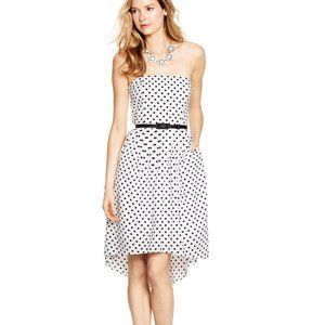 White House Black Market Strapless (optional) Polka Dot Fit And Flare Dress